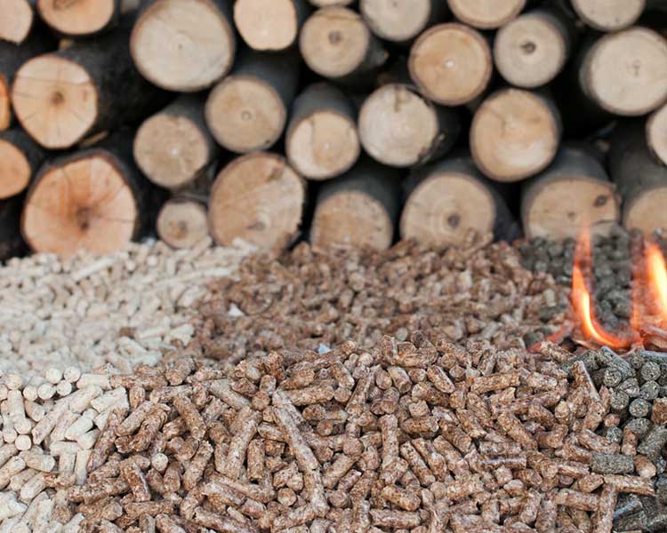 Vente et stockage granulés Bois Bougival
