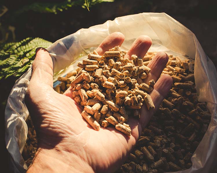 Vente de granulés bois Yvelines
